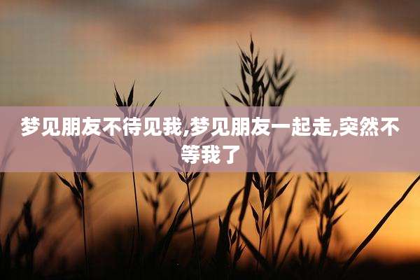 梦见朋友不待见我,梦见朋友一起走,突然不等我了
