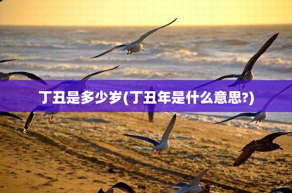 丁丑是多少岁(丁丑年是什么意思?)