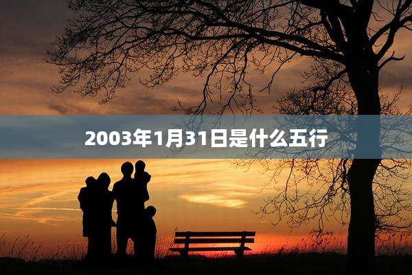 2003年1月31日是什么五行