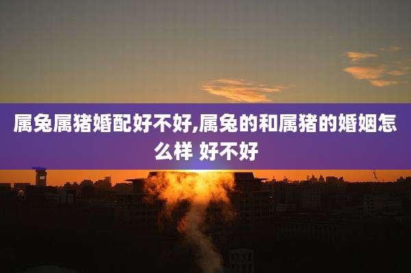 属兔属猪婚配好不好,属兔的和属猪的婚姻怎么样 好不好
