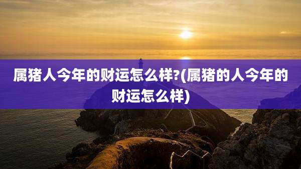 属猪人今年的财运怎么样?(属猪的人今年的财运怎么样)