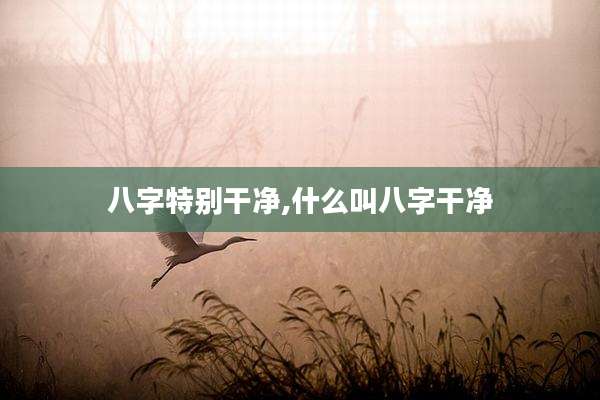 八字特别干净,什么叫八字干净