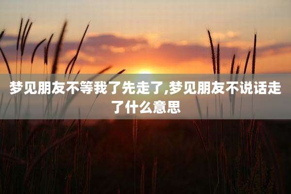 梦见朋友不等我了先走了,梦见朋友不说话走了什么意思