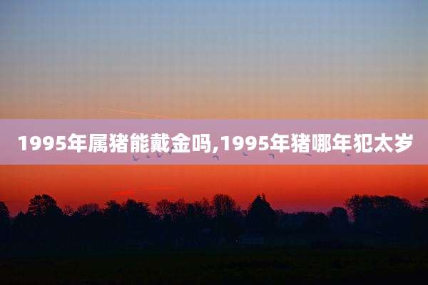1995年属猪能戴金吗,1995年猪哪年犯太岁