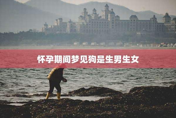 怀孕期间梦见狗是生男生女