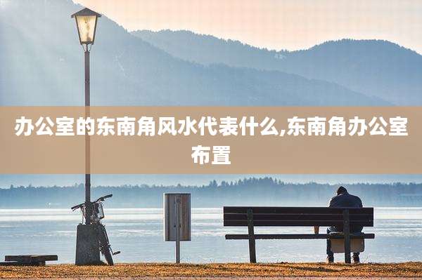 办公室的东南角风水代表什么,东南角办公室布置