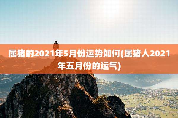 属猪的2021年5月份运势如何(属猪人2021年五月份的运气)