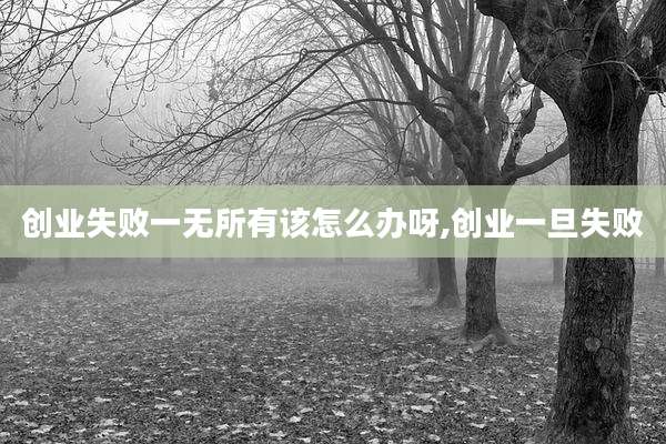 创业失败一无所有该怎么办呀,创业一旦失败