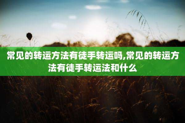 常见的转运方法有徒手转运吗,常见的转运方法有徒手转运法和什么