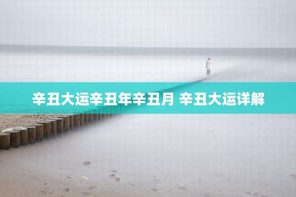 辛丑大运辛丑年辛丑月 辛丑大运详解