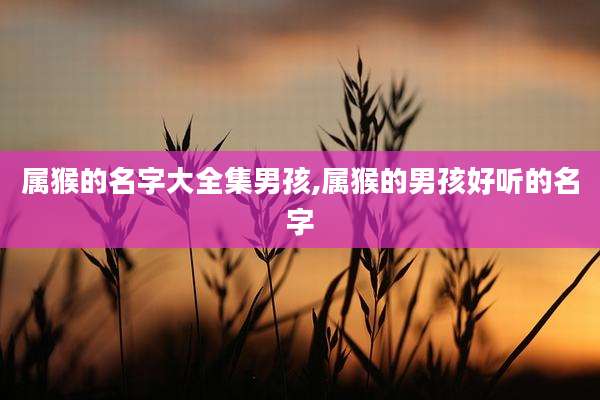 属猴的名字大全集男孩,属猴的男孩好听的名字