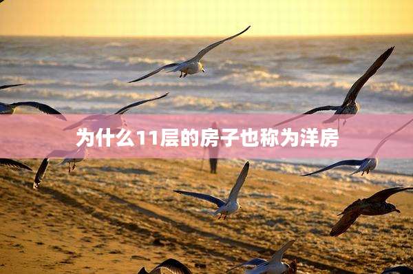 为什么11层的房子也称为洋房