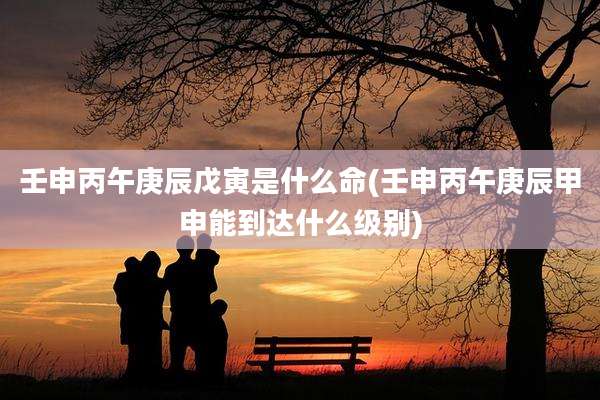 壬申丙午庚辰戊寅是什么命(壬申丙午庚辰甲申能到达什么级别)