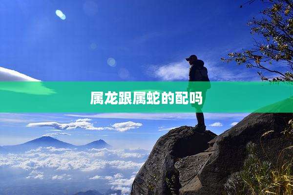 属龙跟属蛇的配吗