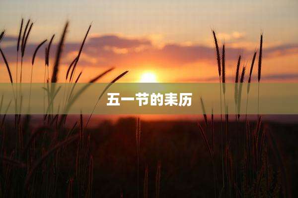 五一节的耒历