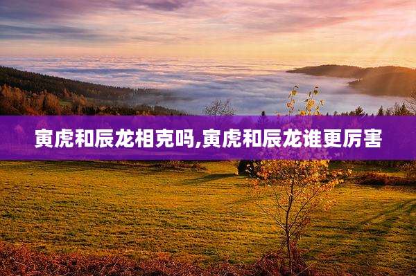 寅虎和辰龙相克吗,寅虎和辰龙谁更厉害