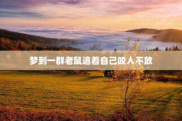 梦到一群老鼠追着自己咬人不放