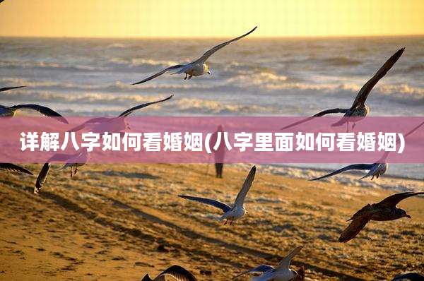 详解八字如何看婚姻(八字里面如何看婚姻)