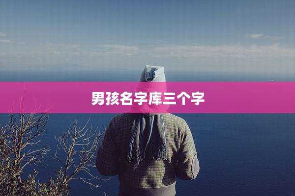 男孩名字库三个字