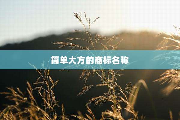 简单大方的商标名称