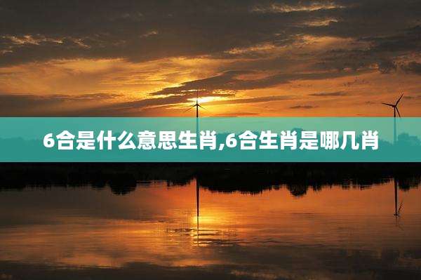 6合是什么意思生肖,6合生肖是哪几肖