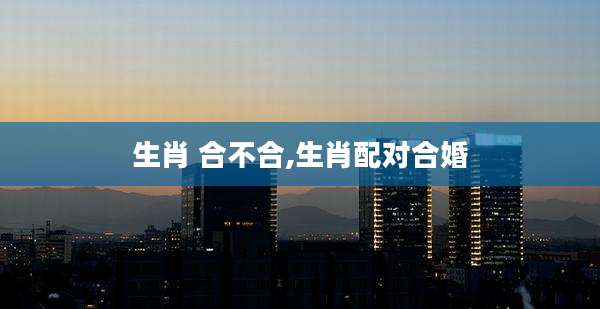 生肖 合不合,生肖配对合婚