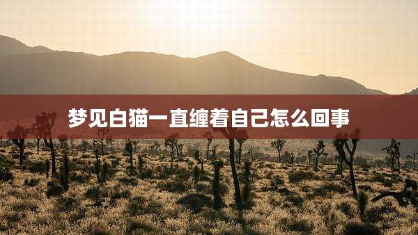 梦见白猫一直缠着自己怎么回事