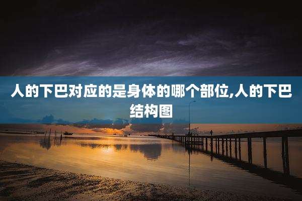 人的下巴对应的是身体的哪个部位,人的下巴结构图