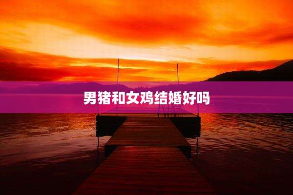 男猪和女鸡结婚好吗