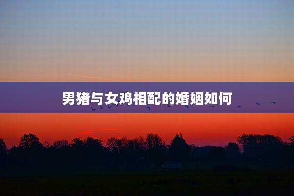 男猪与女鸡相配的婚姻如何