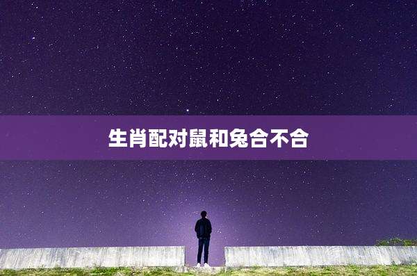 生肖配对鼠和兔合不合