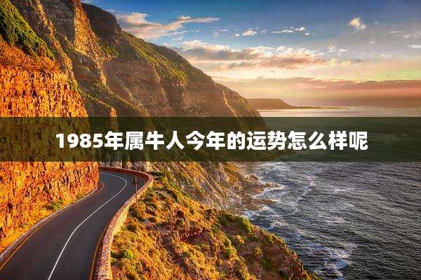 1985年属牛人今年的运势怎么样呢