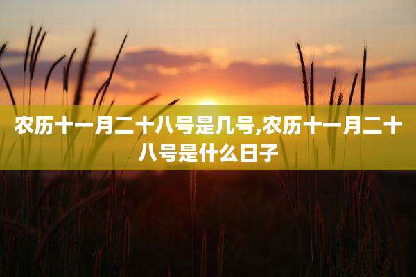农历十一月二十八号是几号,农历十一月二十八号是什么日子