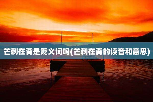 芒刺在背是贬义词吗(芒刺在背的读音和意思)