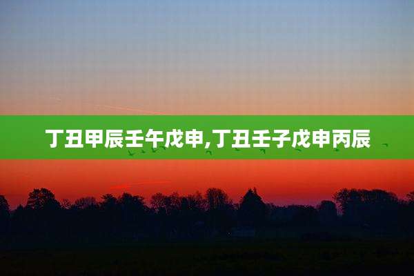 丁丑甲辰壬午戊申,丁丑壬子戊申丙辰
