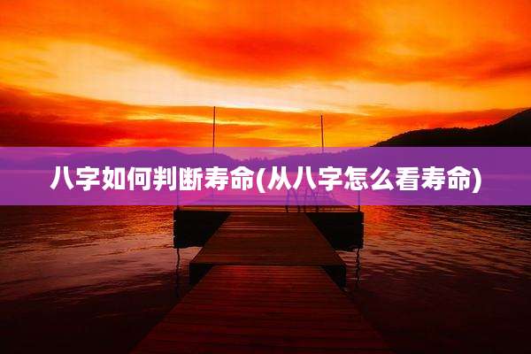 八字如何判断寿命(从八字怎么看寿命)