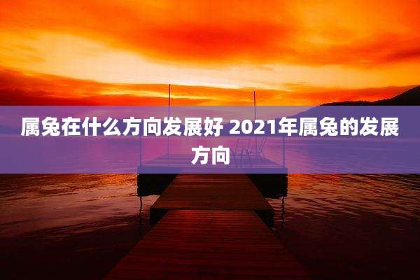 属兔在什么方向发展好 2021年属兔的发展方向