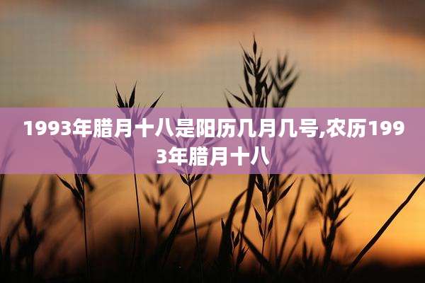 1993年腊月十八是阳历几月几号,农历1993年腊月十八