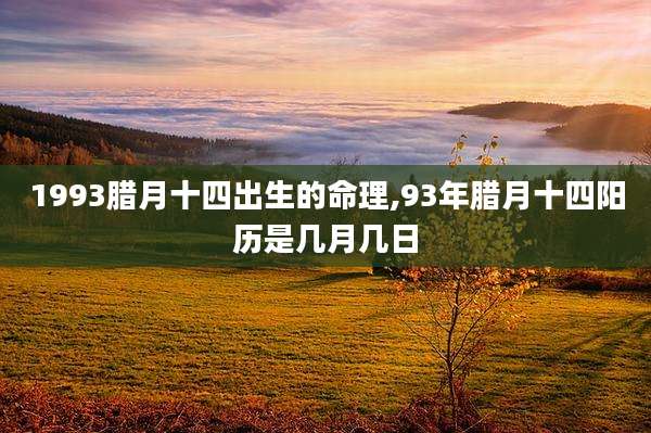 1993腊月十四出生的命理,93年腊月十四阳历是几月几日