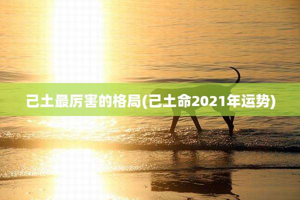 己土最厉害的格局(己土命2021年运势)