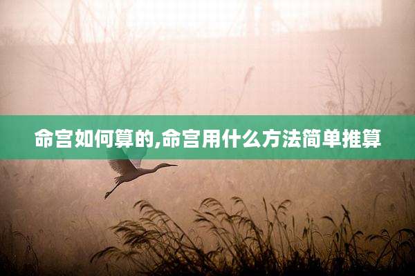 命宫如何算的,命宫用什么方法简单推算