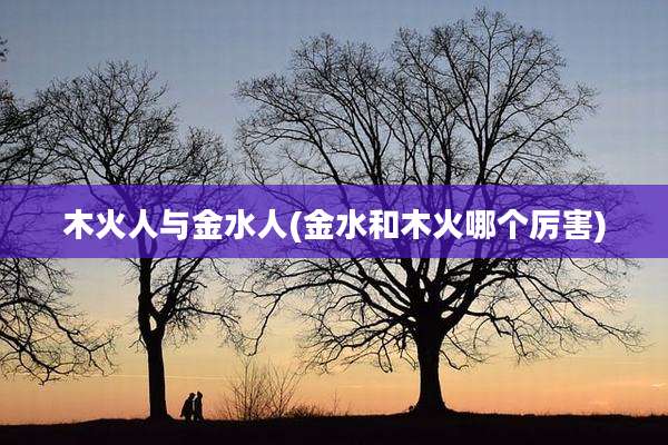 木火人与金水人(金水和木火哪个厉害)