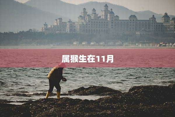属猴生在11月
