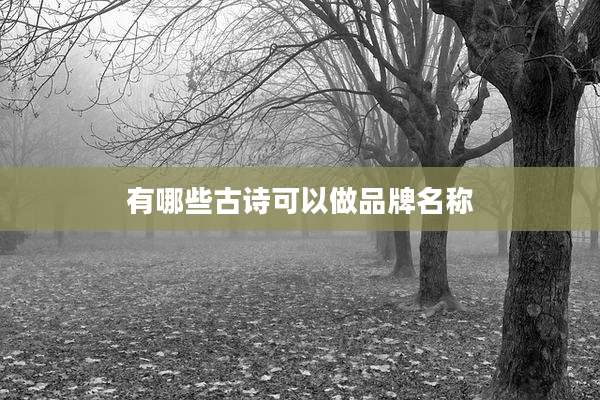 有哪些古诗可以做品牌名称
