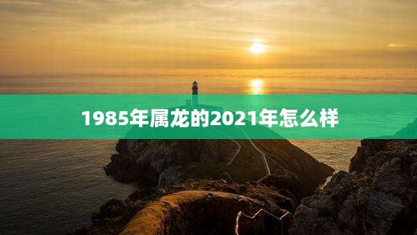 1985年属龙的2021年怎么样