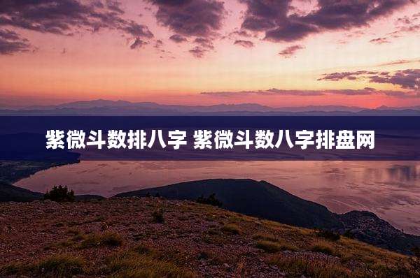 紫微斗数排八字 紫微斗数八字排盘网