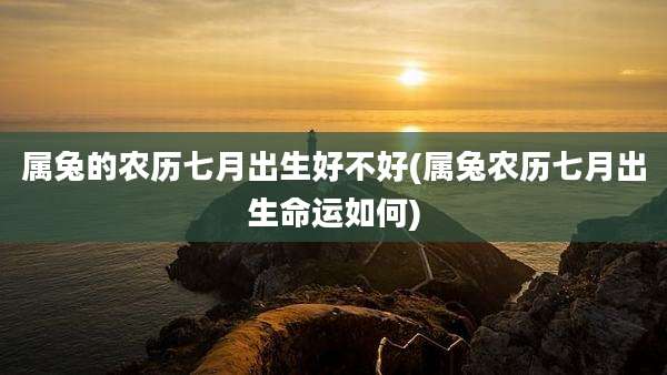 属兔的农历七月出生好不好(属兔农历七月出生命运如何)