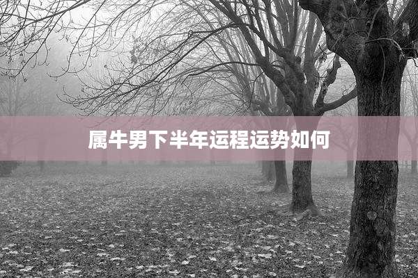 属牛男下半年运程运势如何