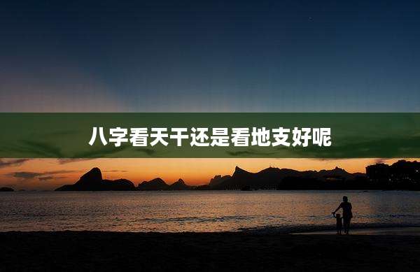 八字看天干还是看地支好呢