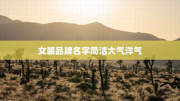 女装品牌名字简洁大气洋气